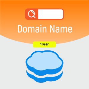 Domain name registration/renewal